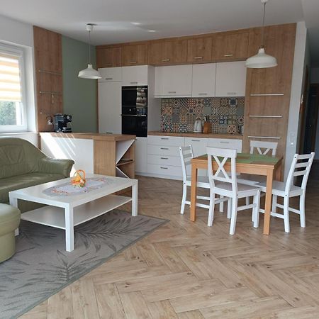 Apartament Eliza Ustroń Zewnętrze zdjęcie